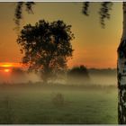 Ein Moment bei Sonnenaufgang