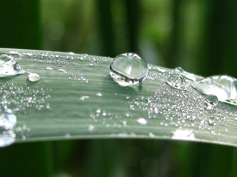 Ein Moment der Ruhe - Meditation