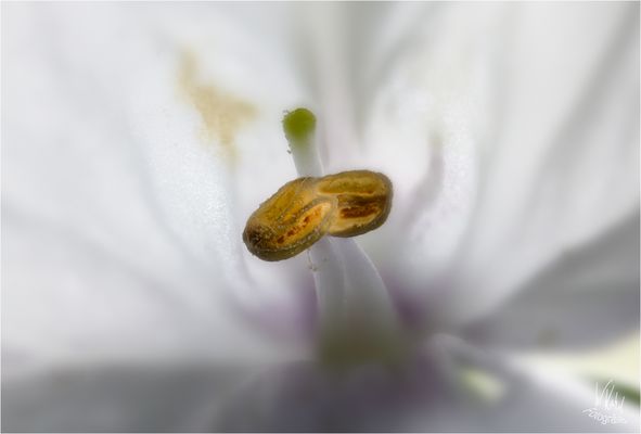 Ein Moment der Stille - 2