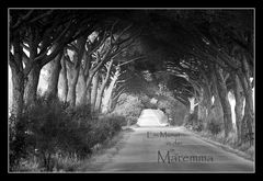 Ein Monat in der Maremma