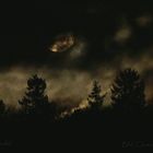  Ein Mond-Wolken-Wald Bild 