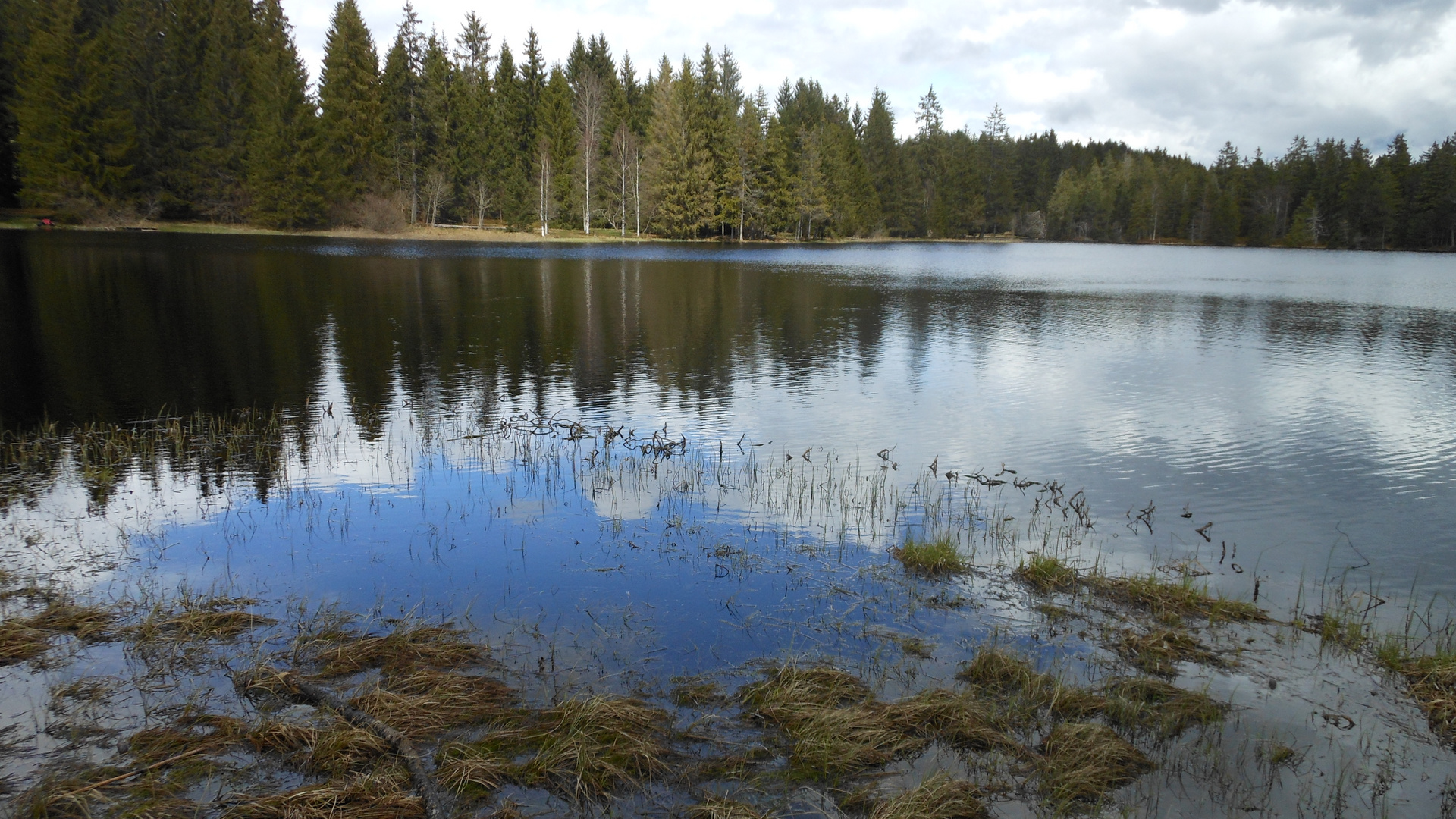 Ein Moorsee im Jura - der Etang de la Grue?re - gegen Abend