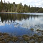 Ein Moorsee im Jura - der Etang de la Grue?re - gegen Abend