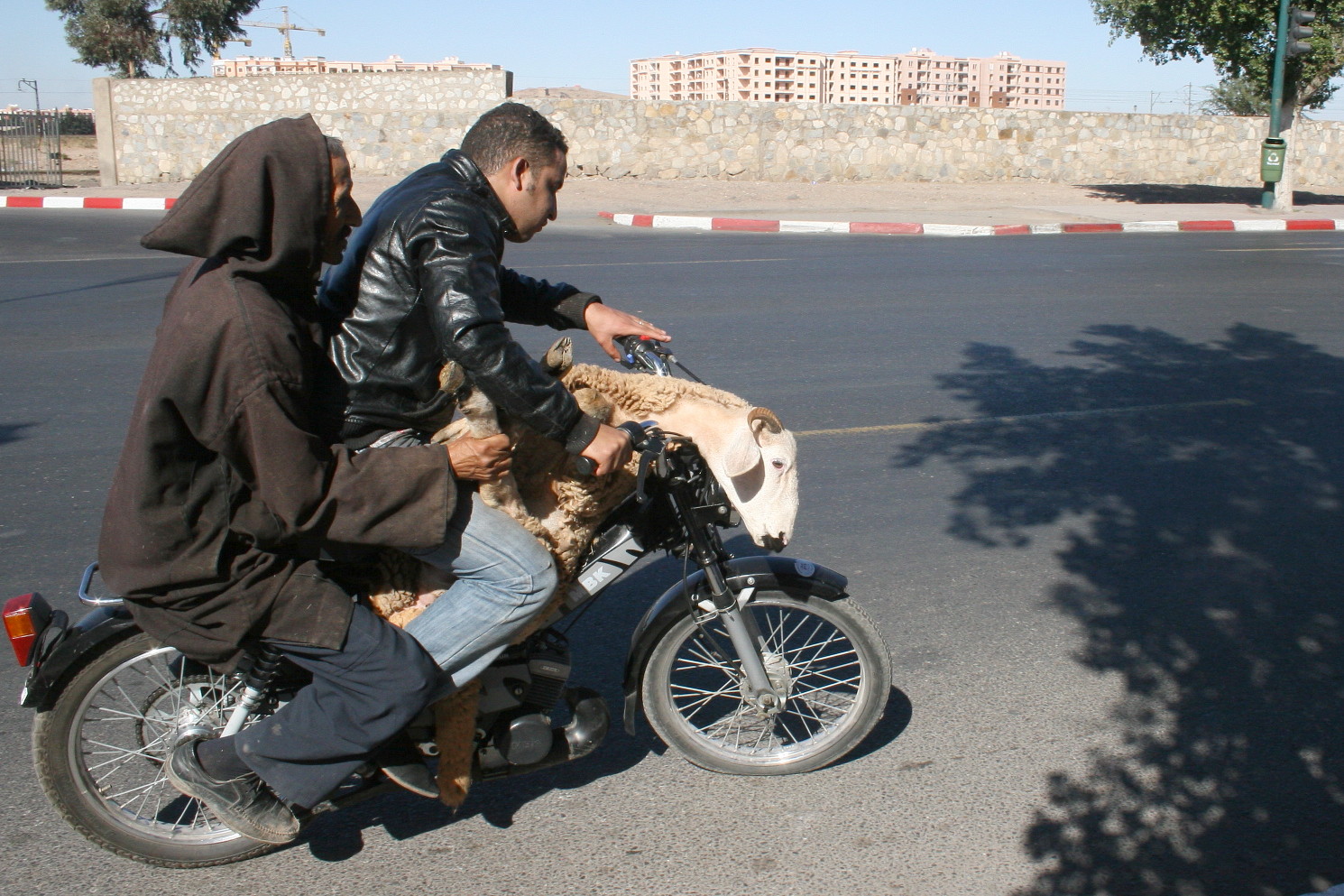 ... ein Moped, zwei Mann und ein Schaf ....