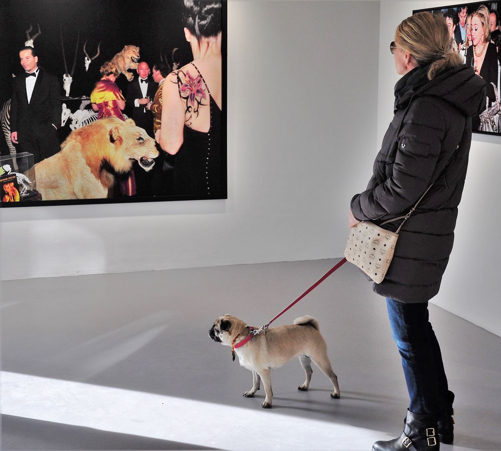 Ein Mops bleibt ein Mops Foto & Bild spezial, menschen, mops Bilder