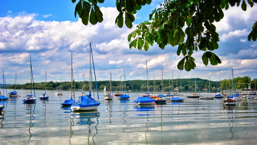 Ein Morgen am Ammersee