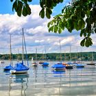 Ein Morgen am Ammersee