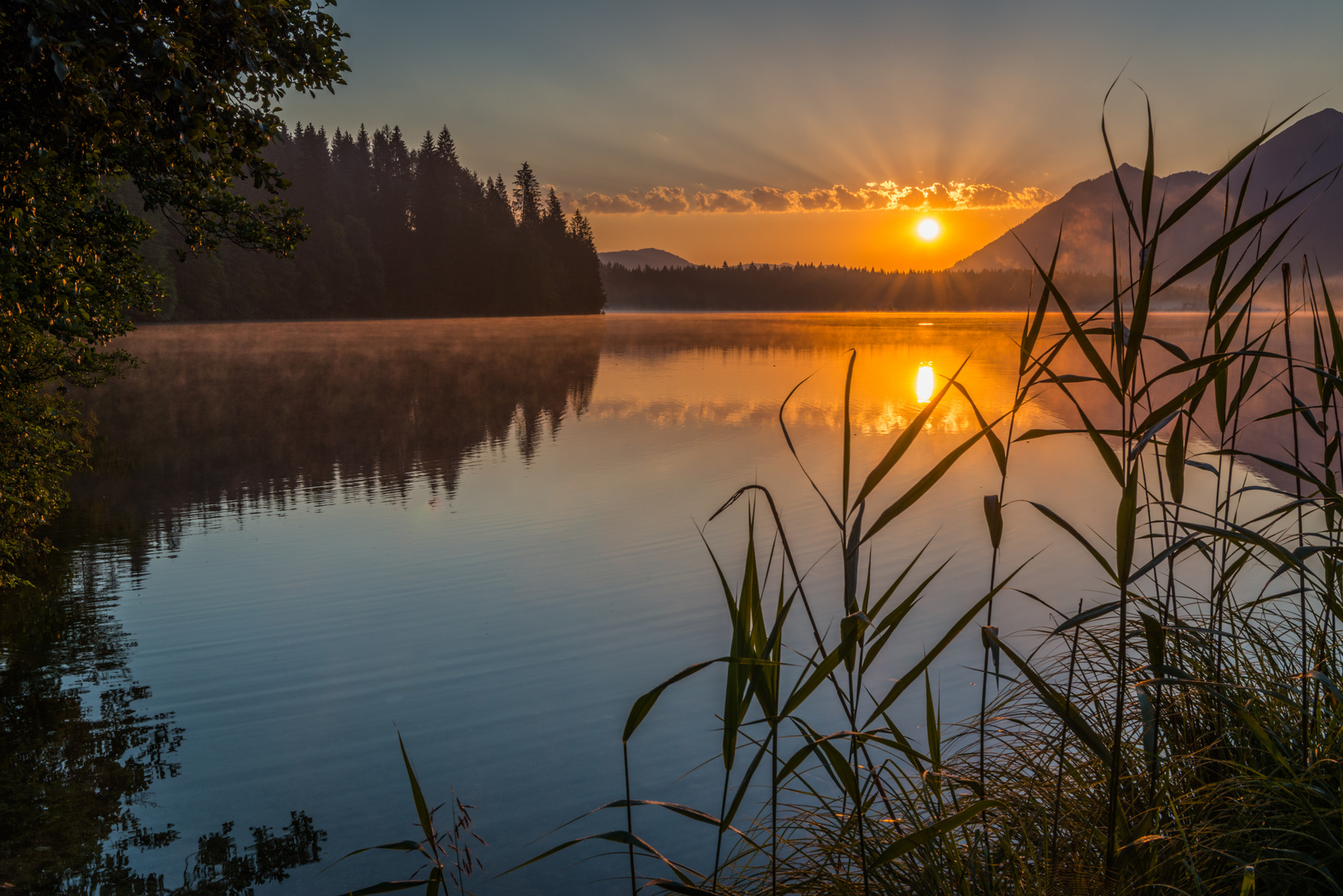 Ein Morgen am Barmsee