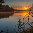 Ein Morgen am Barmsee