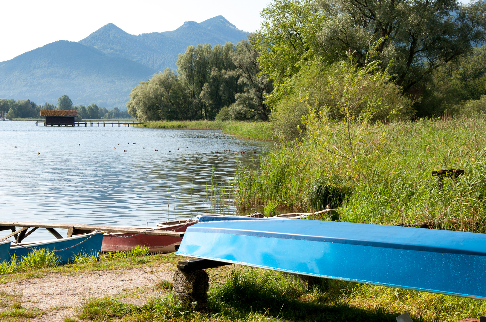 Ein Morgen am Chiemsee