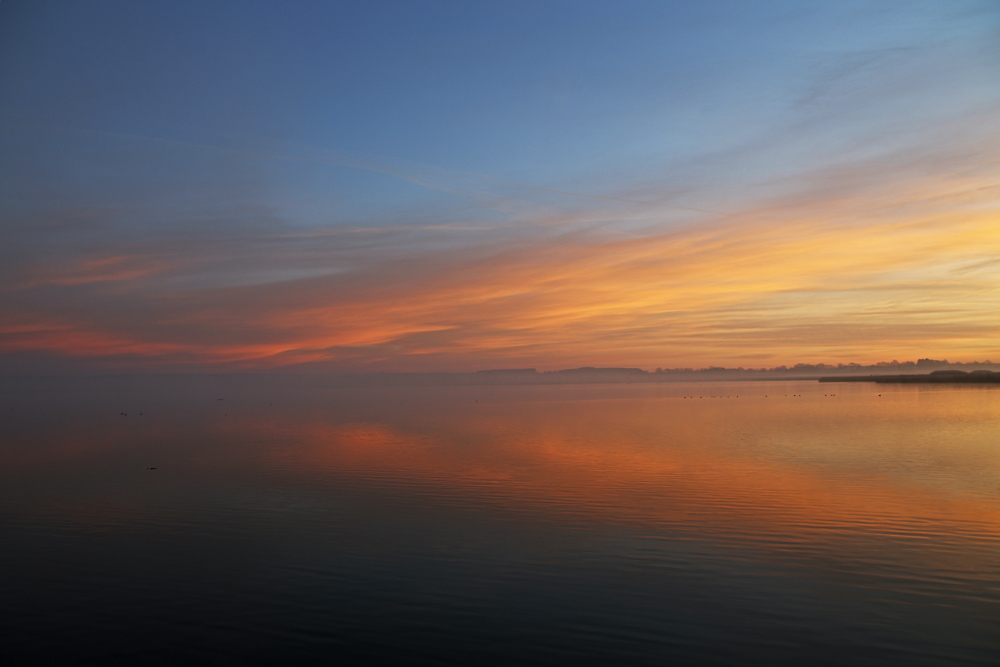 ein Morgen am Federsee wie ein Gemälde