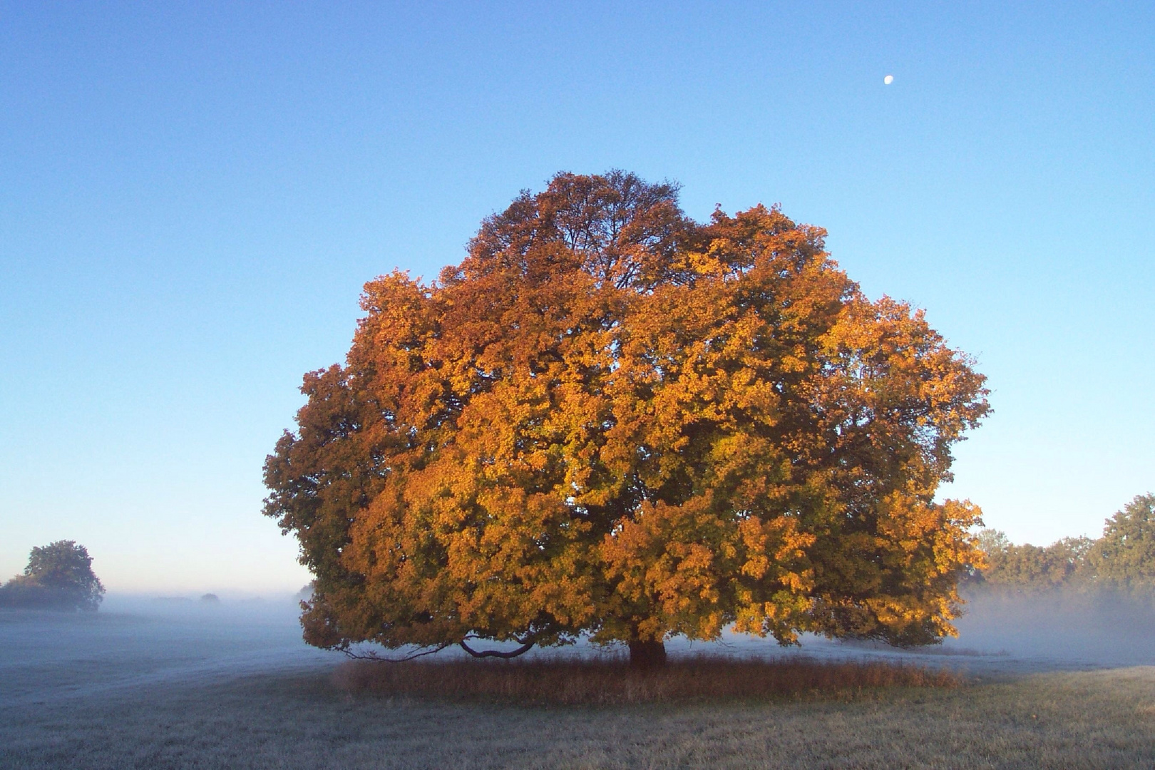 Ein Morgen am Fluss