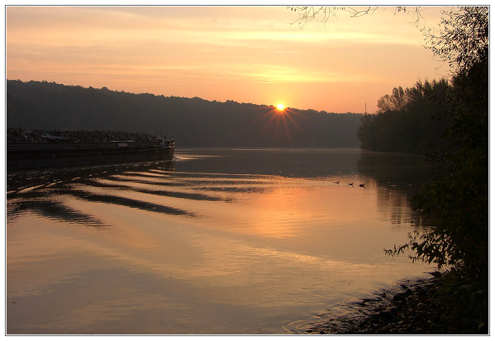 Ein Morgen am Griebnitzsee....