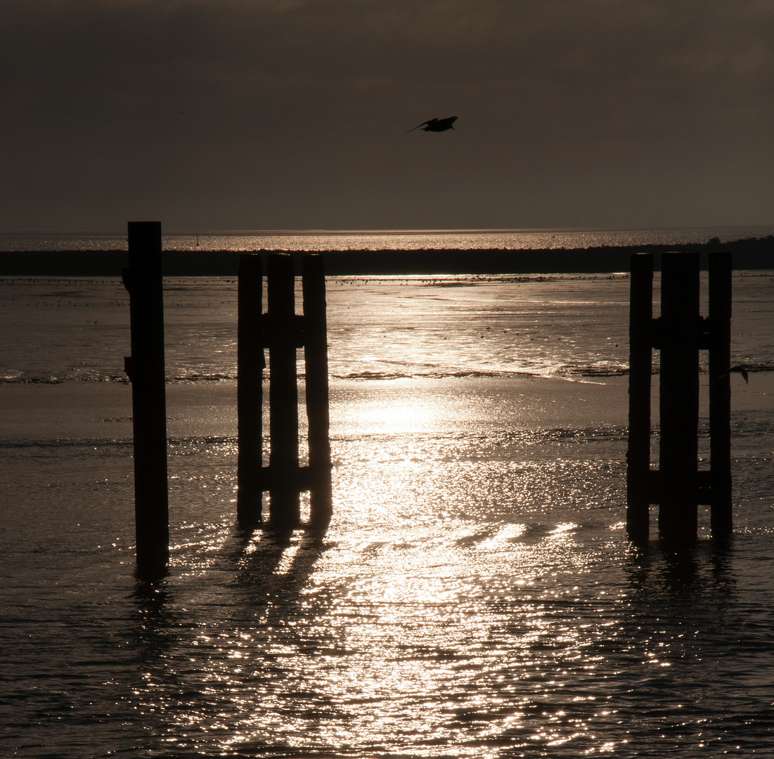 Ein Morgen am Inselhafen