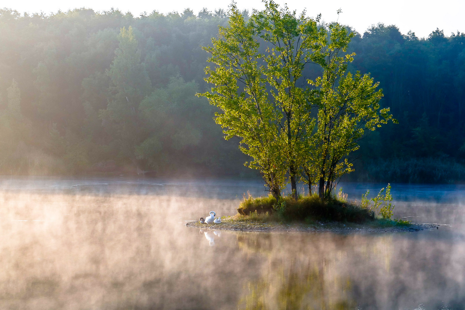 Ein Morgen am Kanal