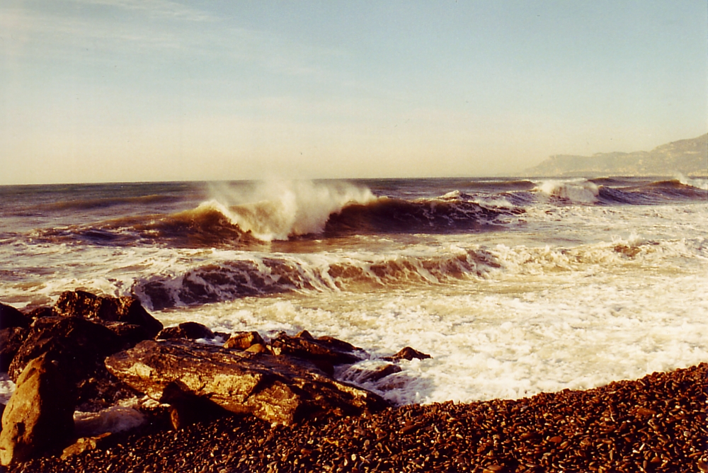 Ein Morgen am Meer