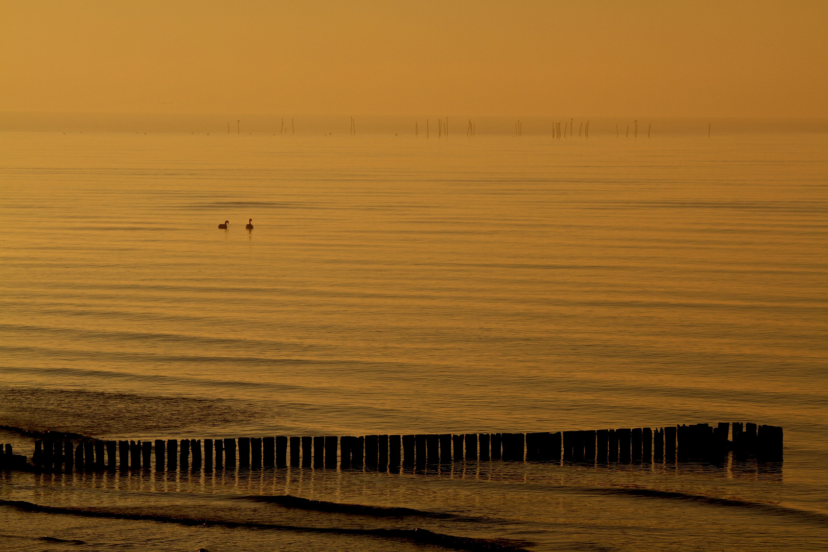 Ein Morgen am Meer