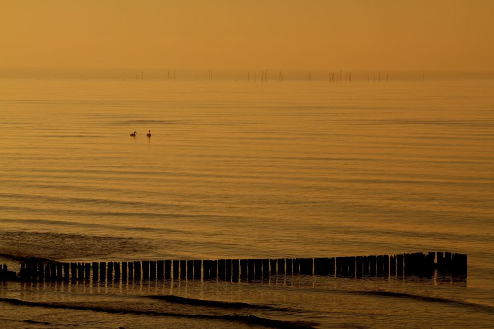 Ein Morgen am Meer