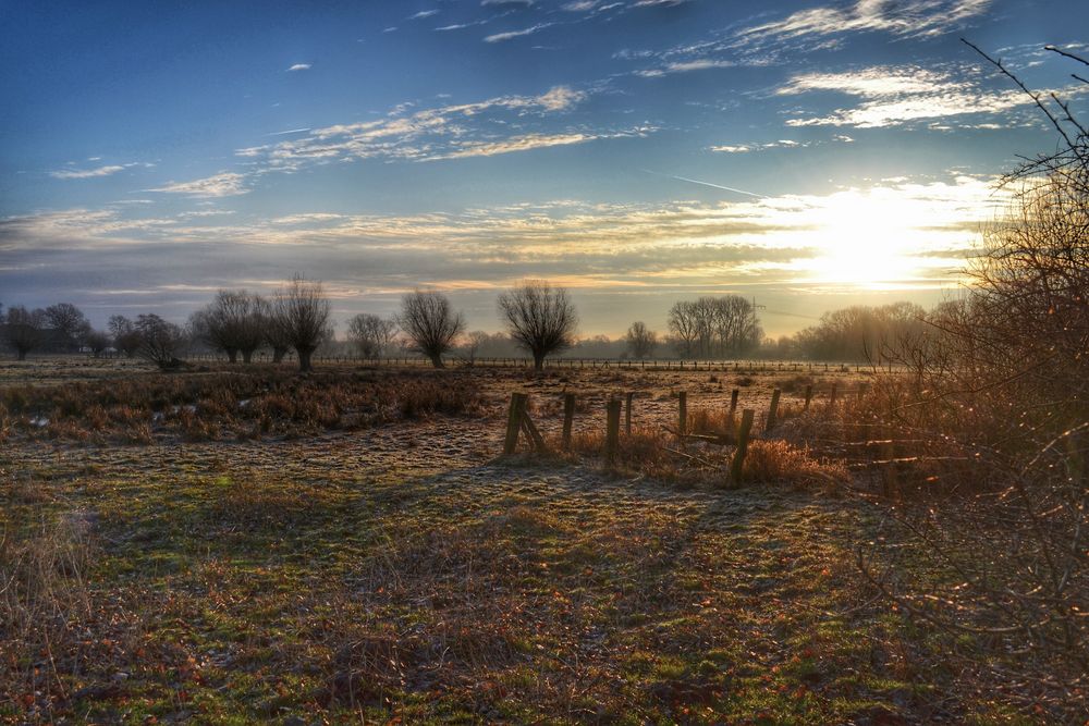 Ein Morgen am Niederrhein