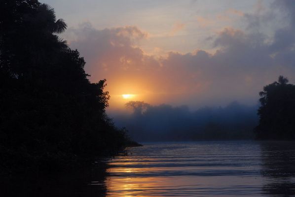 Ein Morgen am Orinoco