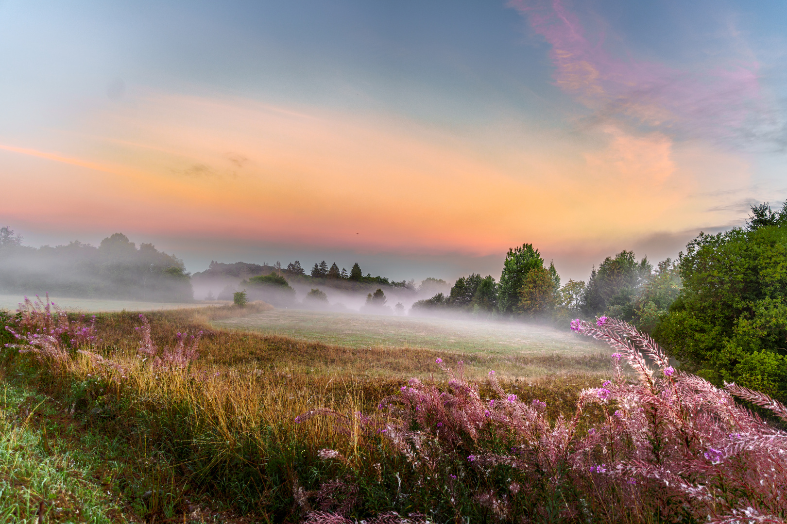 Ein Morgen am Pfauenteich