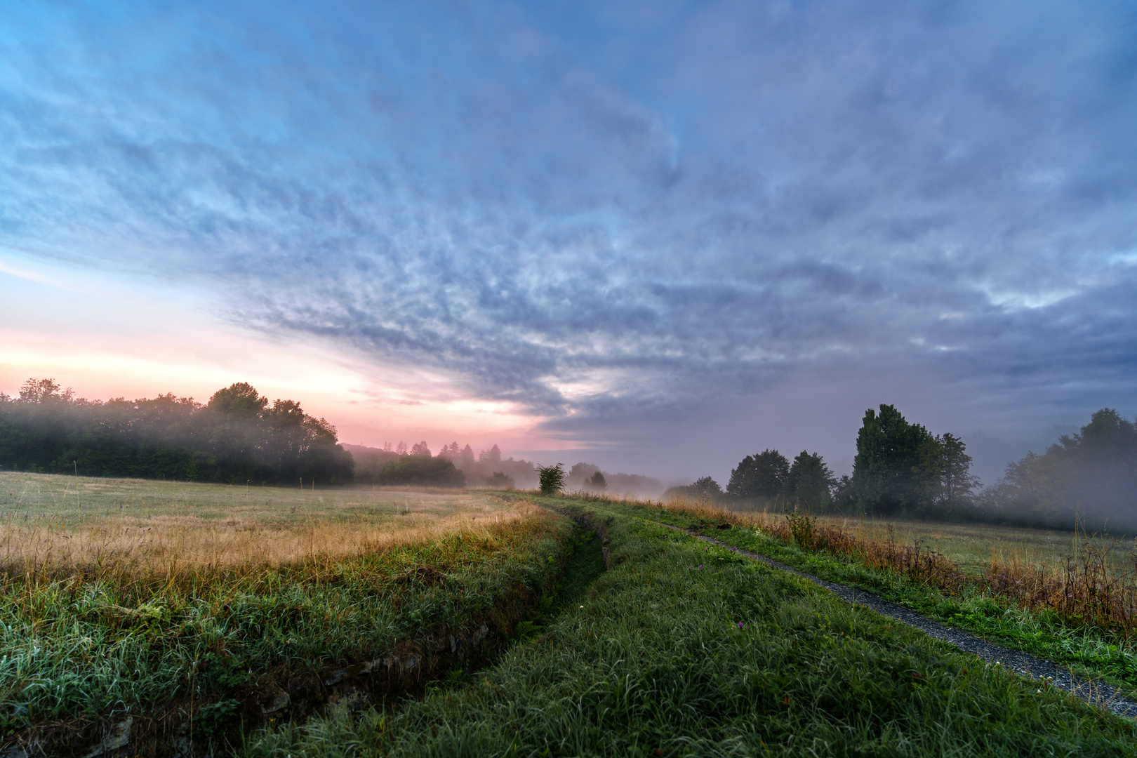 Ein Morgen am Pfauenteich