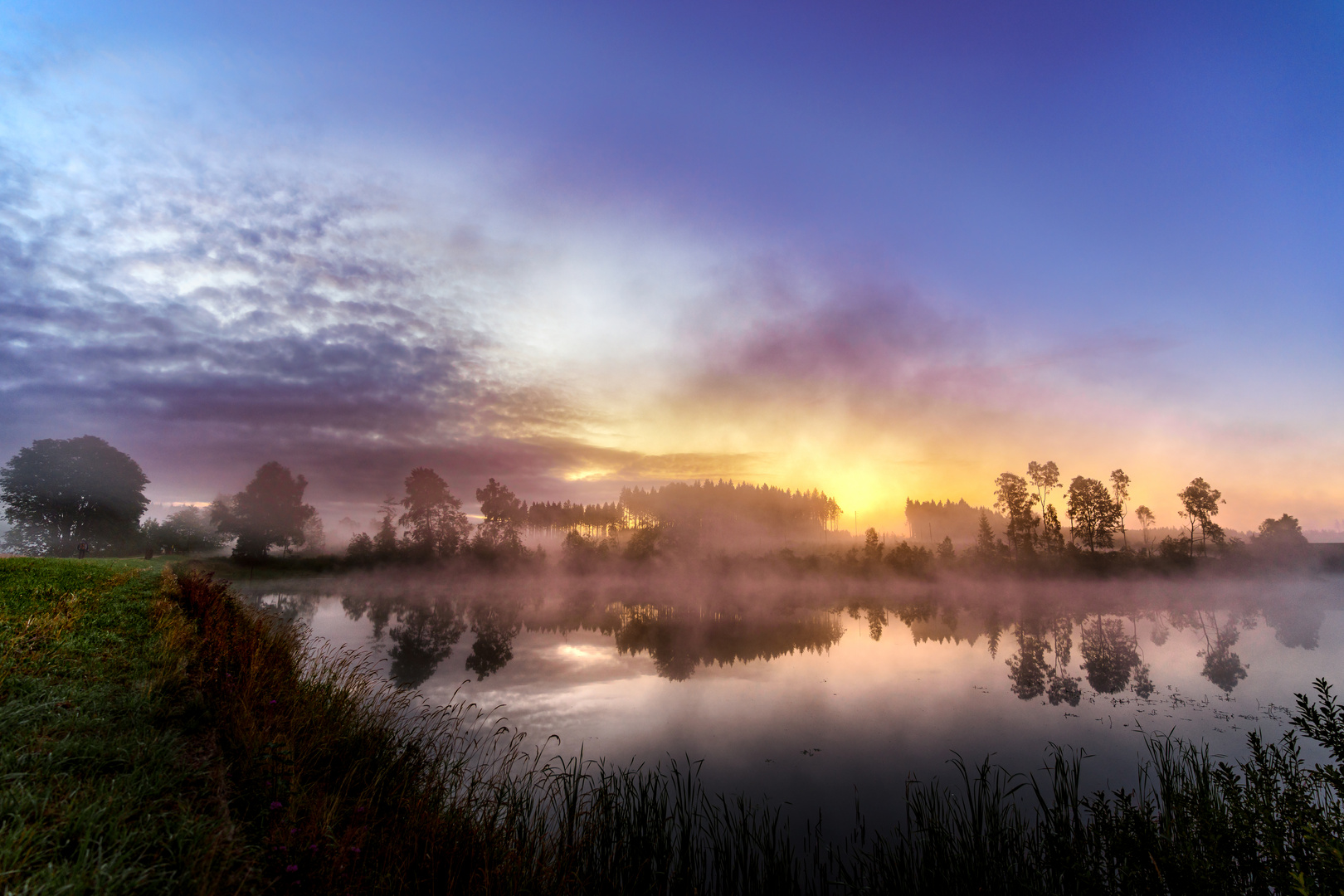 Ein Morgen am Pfauenteich