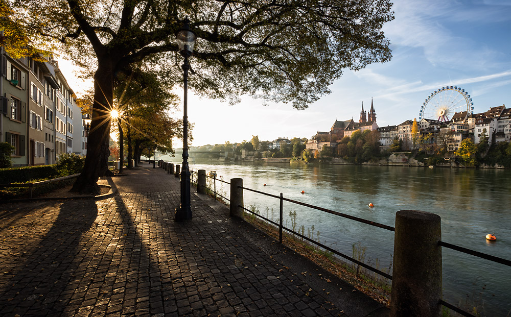 Ein Morgen am Rhein