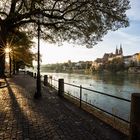 Ein Morgen am Rhein