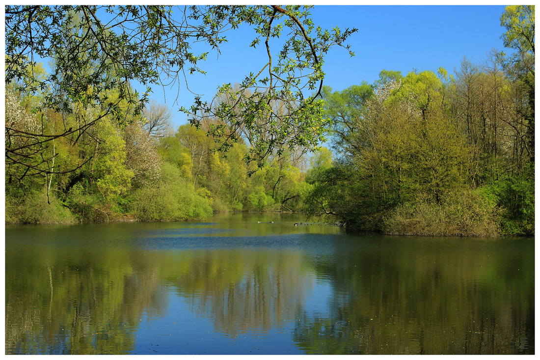 Ein Morgen am See