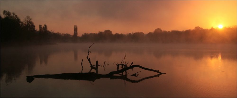 EIN MORGEN AM SEE