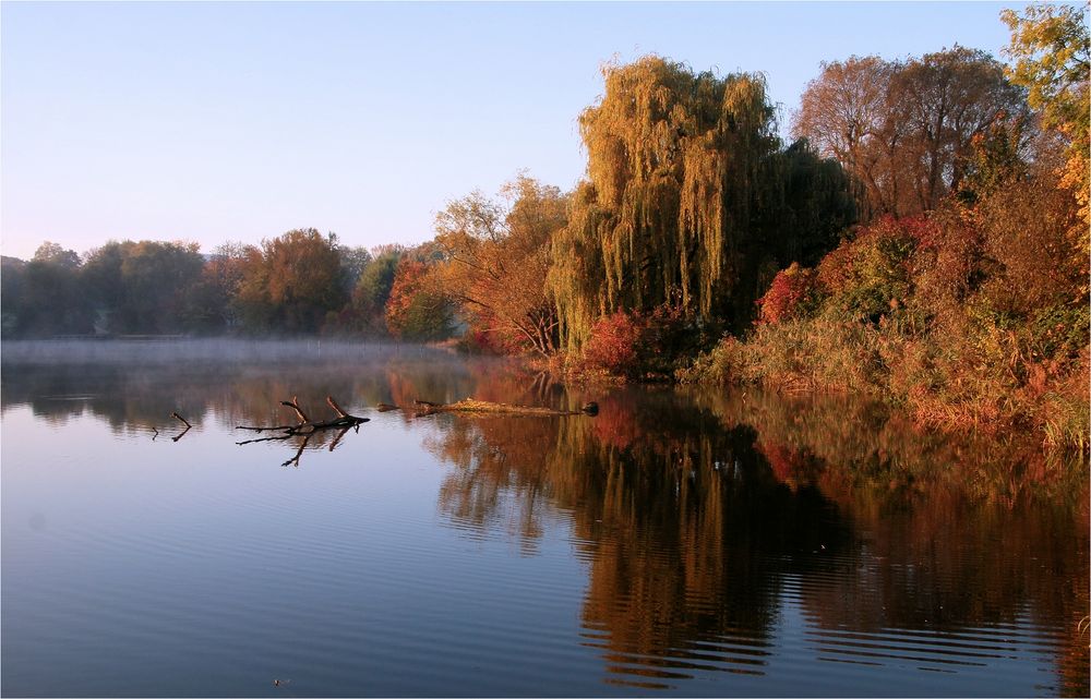 EIN MORGEN AM SEE