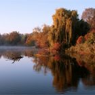 EIN MORGEN AM SEE