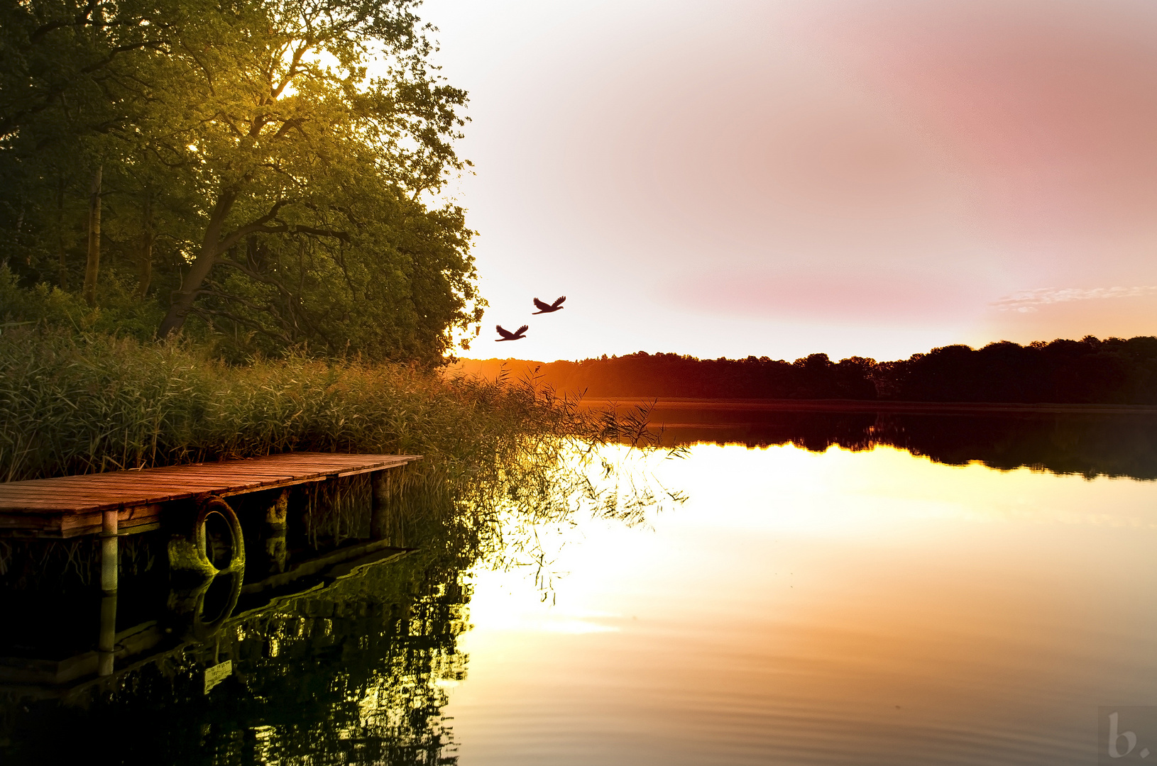 Ein Morgen am See