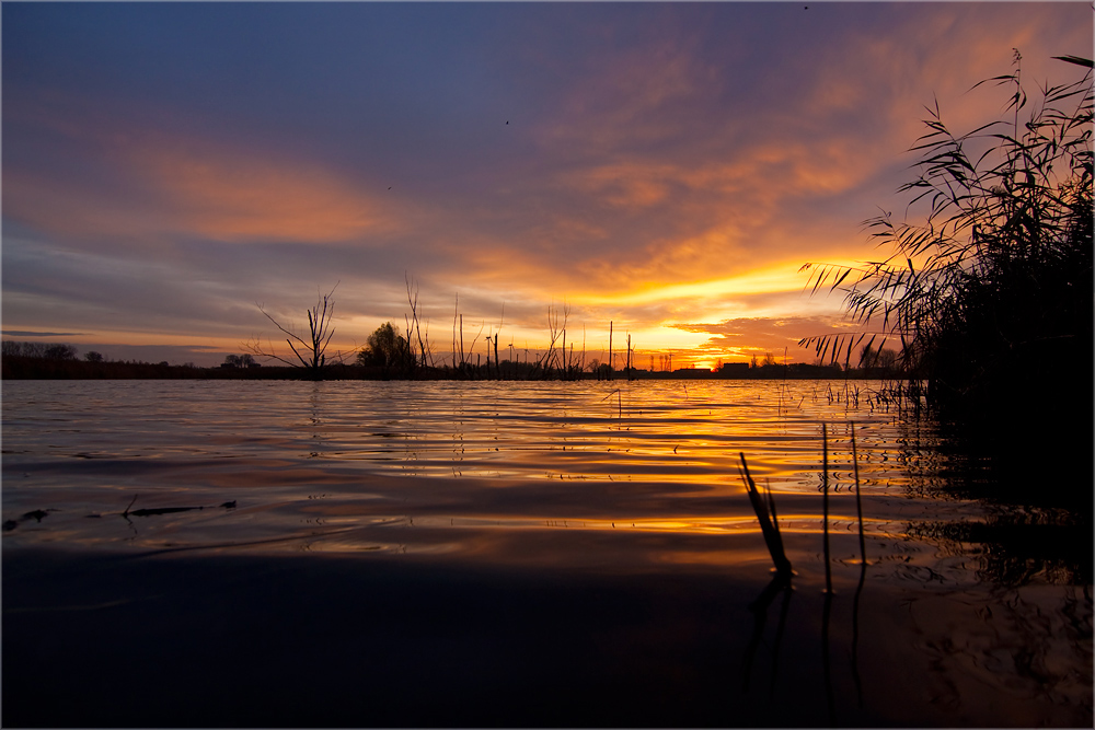 Ein Morgen am See