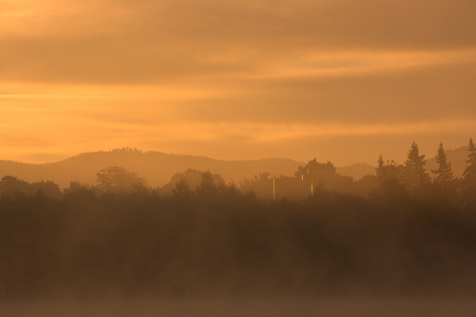 Ein Morgen am See