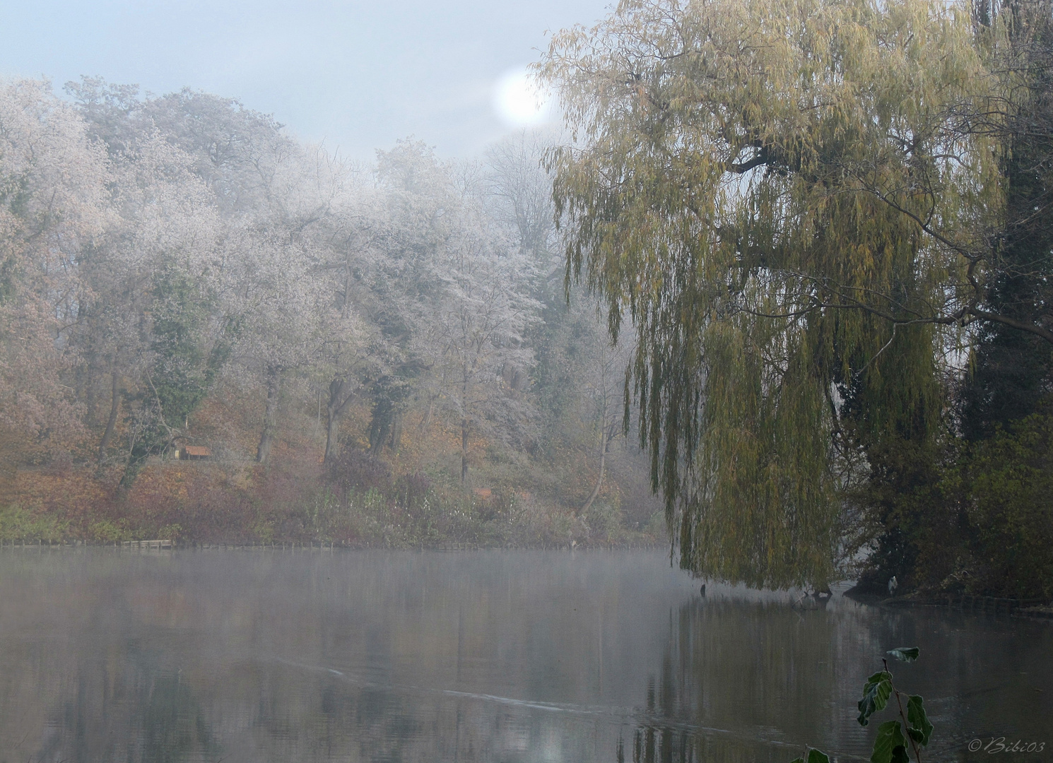 Ein Morgen am See