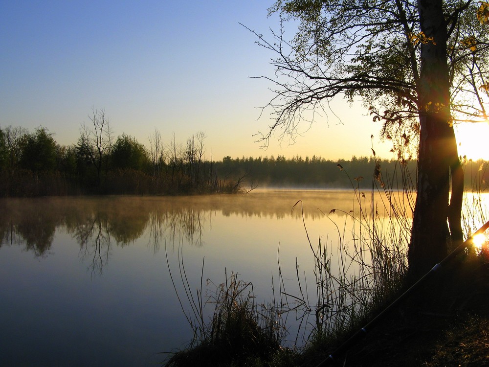 ein Morgen am See