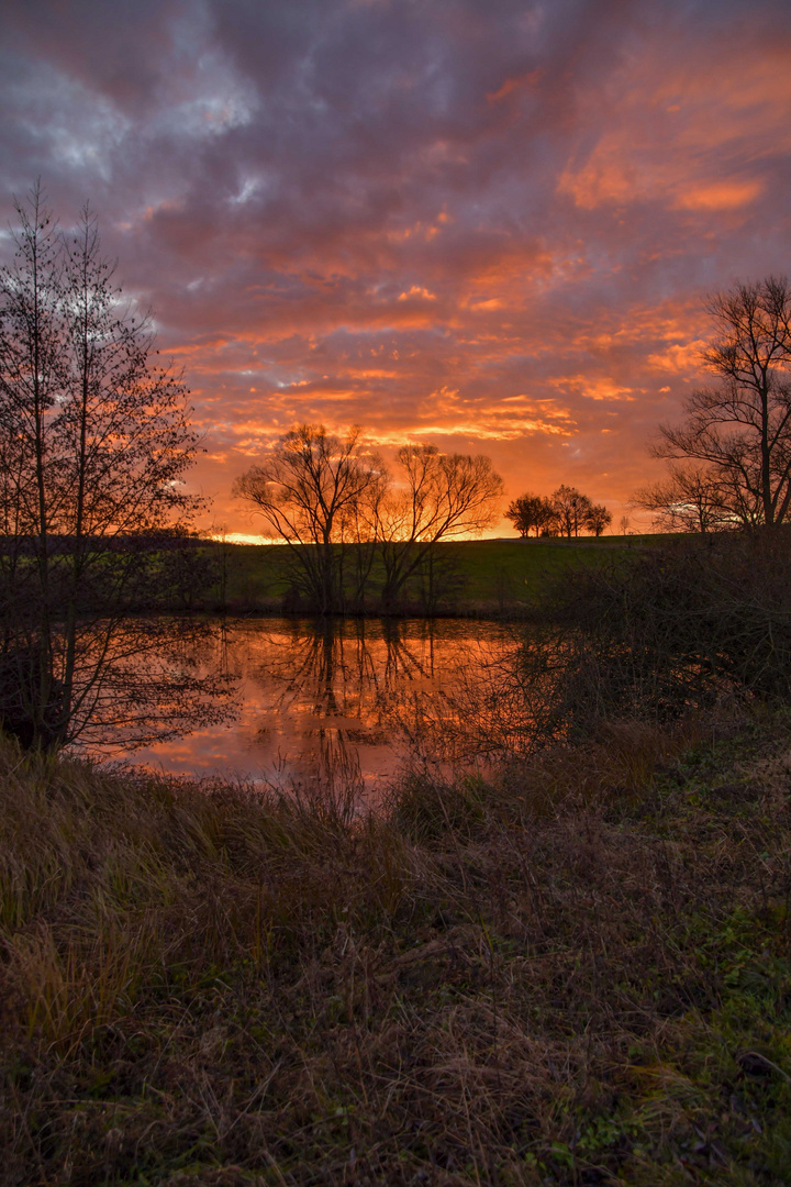 ein Morgen am Teich...