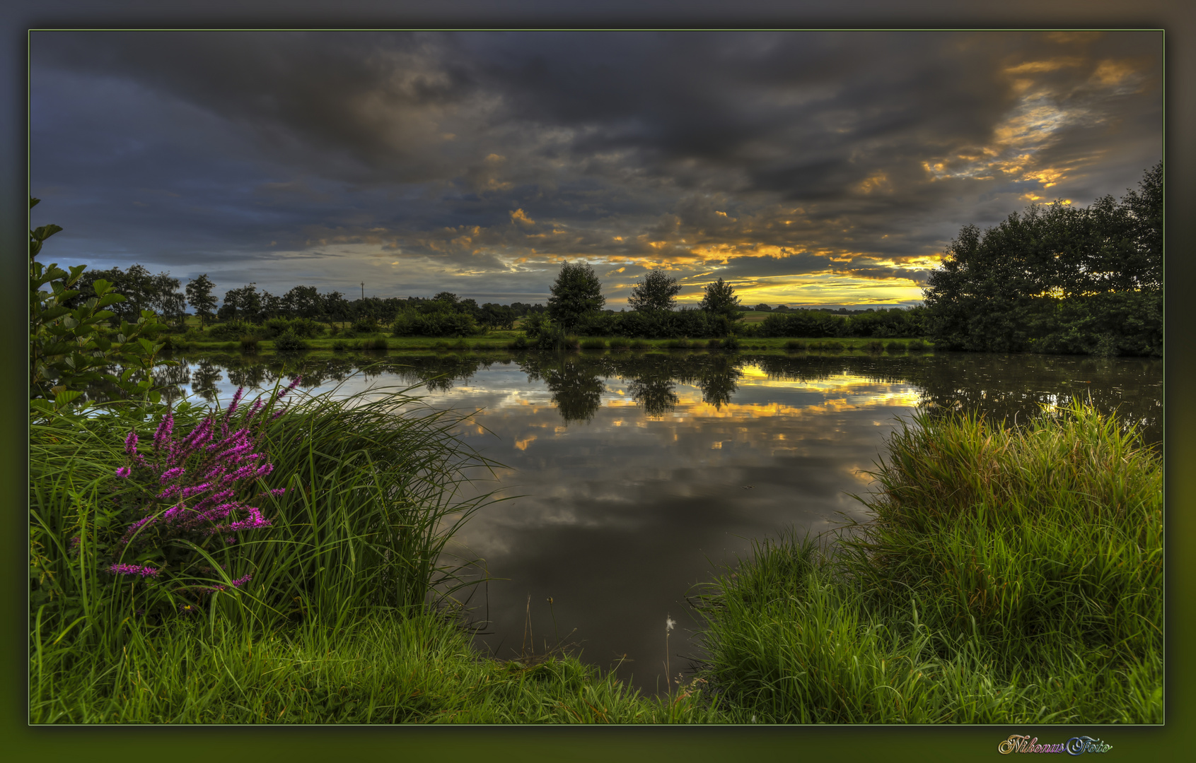  ein Morgen am Teich