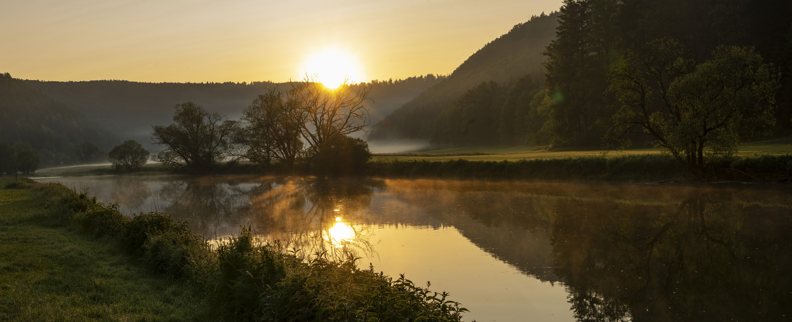 Ein Morgen an der Donau