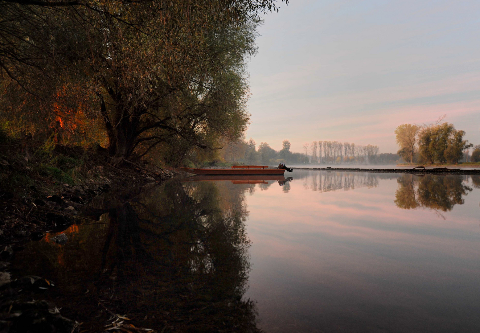 Ein Morgen an der Donau