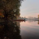 Ein Morgen an der Donau