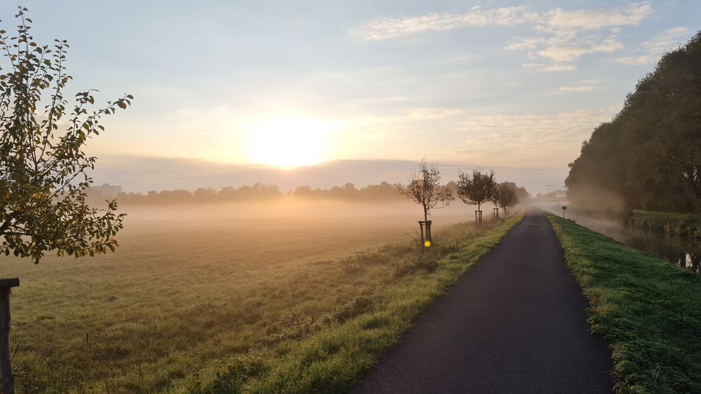 Ein Morgen an der Erft