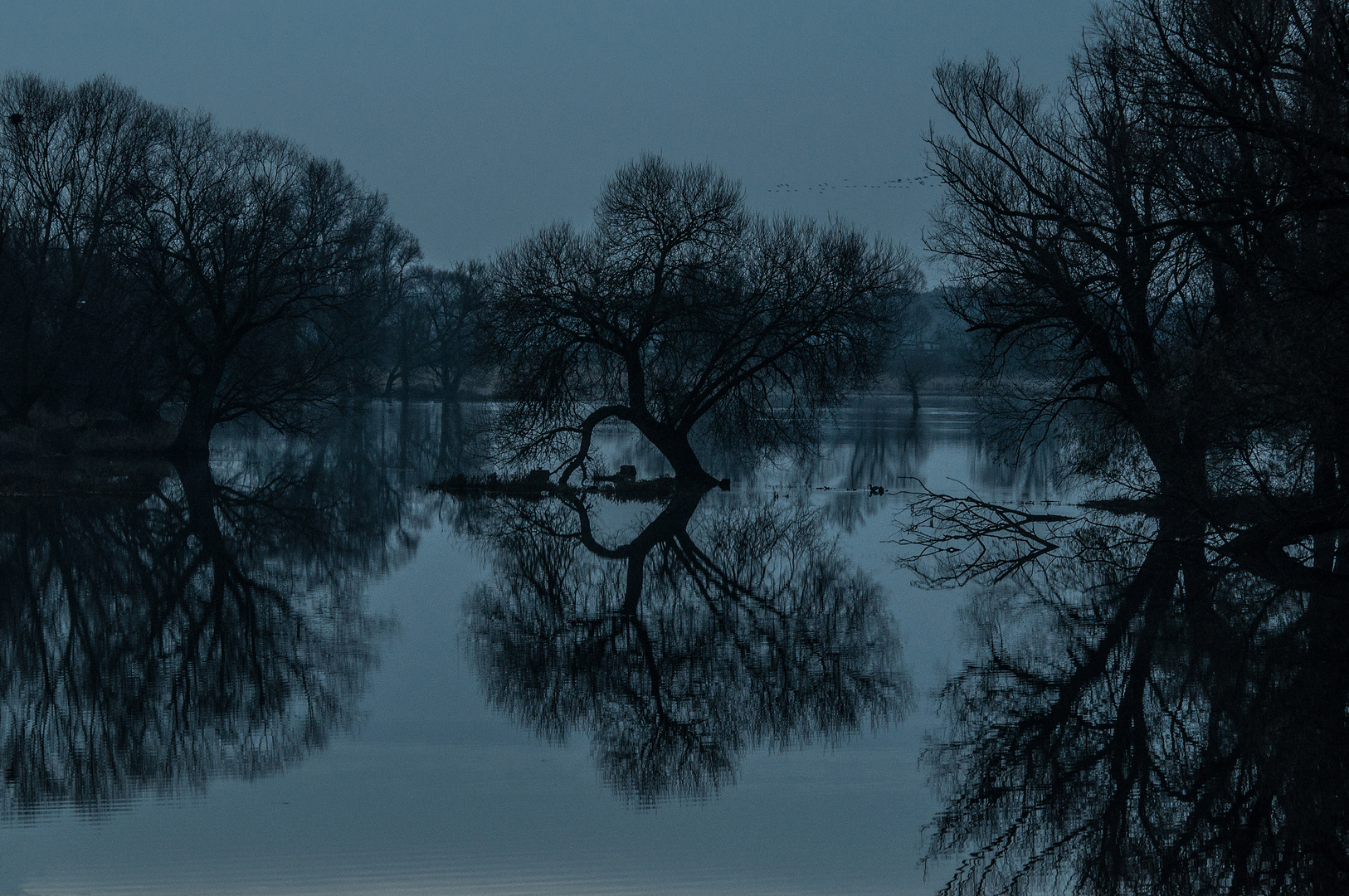 Ein Morgen an der Havel