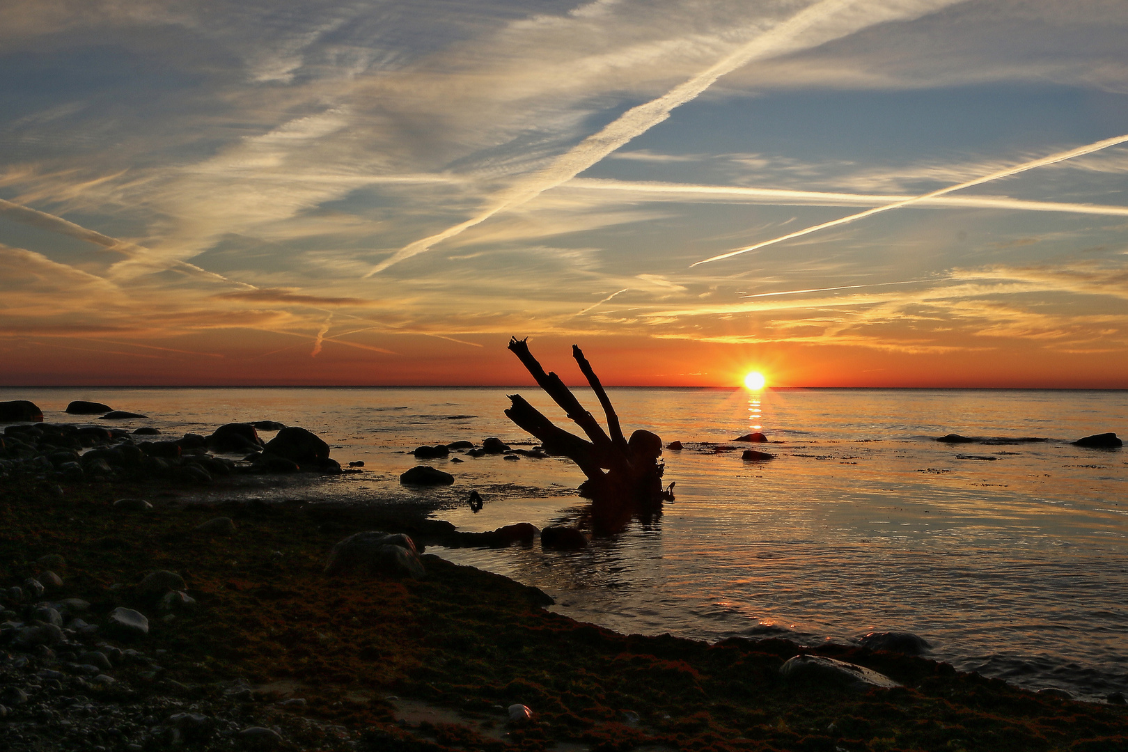 Ein Morgen an der Kreideküste