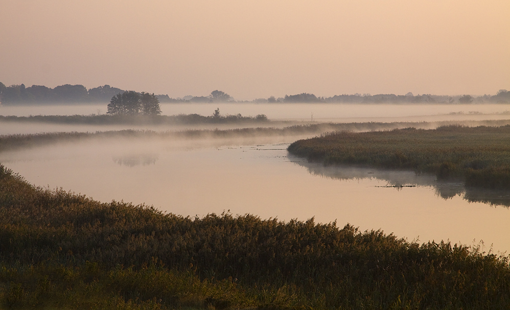 Ein Morgen an der Peene