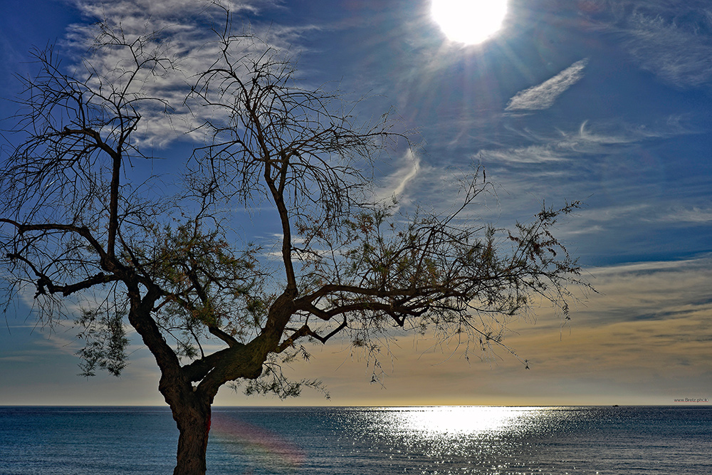 Ein Morgen auf Mallorca