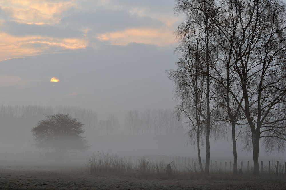 Ein Morgen grau in grau