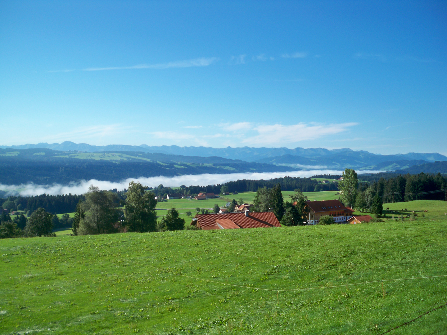 Ein Morgen im Allgäu